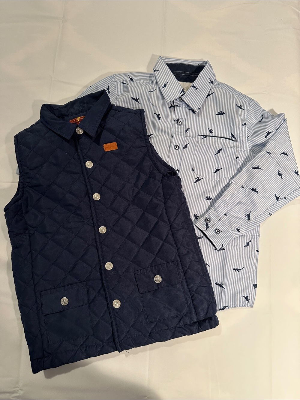 Light Blue Striped Button-Down Shirt with Navy Dino Print - Kids